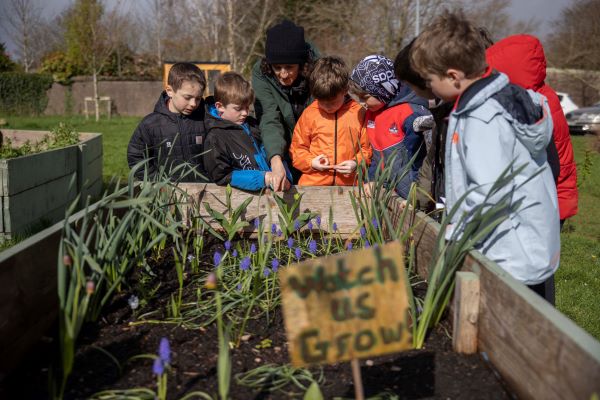 Ballinlough-Community-Garden-3