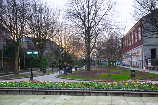 Bishop Lucey Park