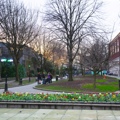 Bishop Lucey Park