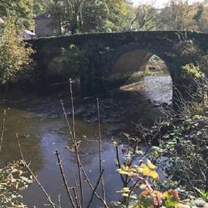 Glanmire Bridge pic 1 of 2 july 2024