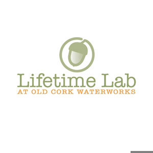 Lifetime Lab 