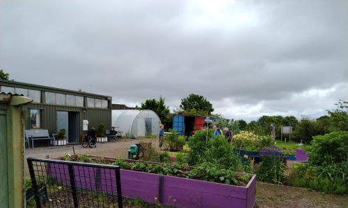 Hollyhill-Community-Garden-Copy