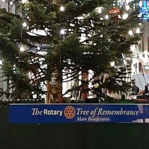 Rotary Tree thumbnail