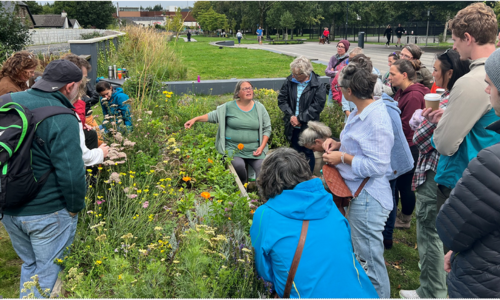 douglas-community-garden