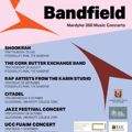 Bandfield Mardyke 300 concerts flyer