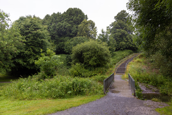 Trees-in-Glen-River-Park