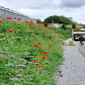 Passage Railway Greenway Q3 review pic 1