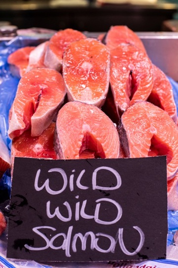 Wild salmon display