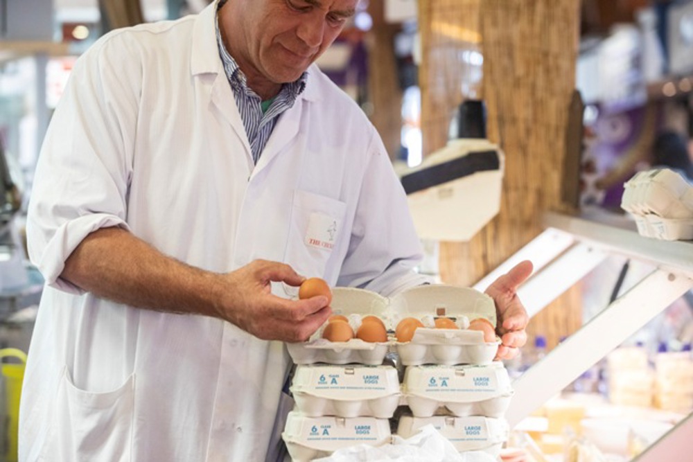 Employee inspecting egg shell for cracks