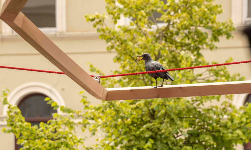 Sentinels-Crow-Sculpture--on-Timber-Beam