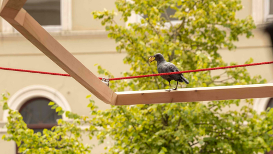 Sentinels-Crow-Sculpture--on-Timber-Beam