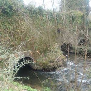 glyntown bridge pic 1 july 2024